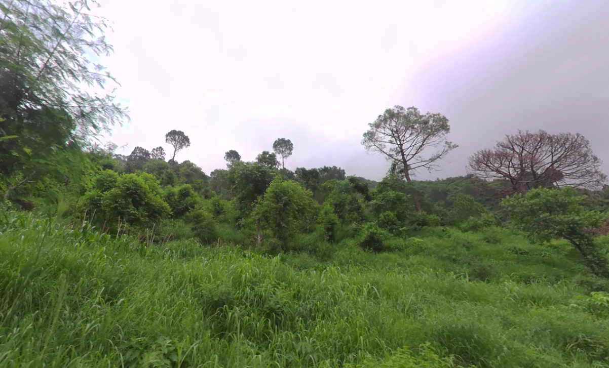 Dadahu, Himachal Pradesh 173022, India