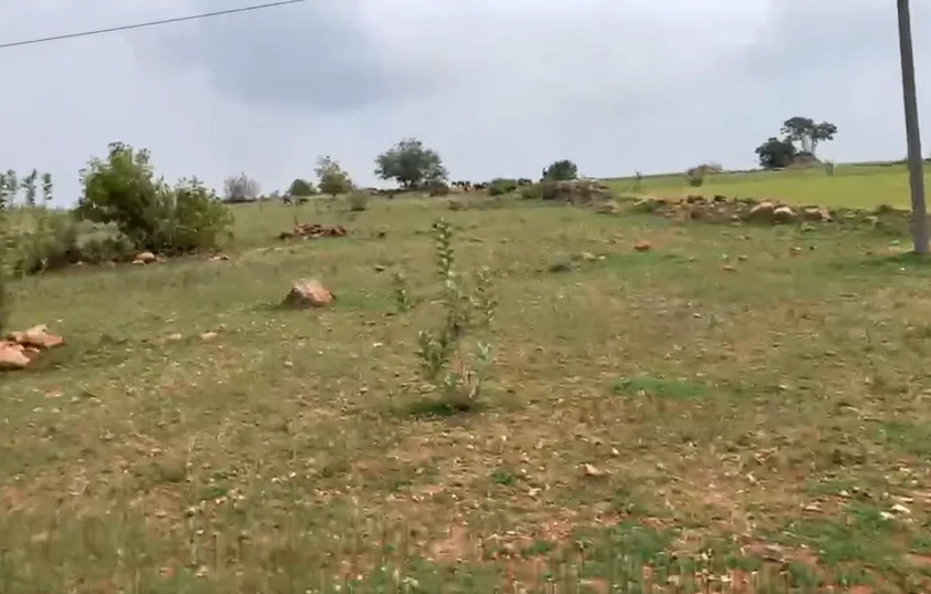 CVHR+556, Tonk, Bdoli, Rajasthan, India