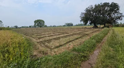 Thuiyan, Haryana 125053, India preview 3