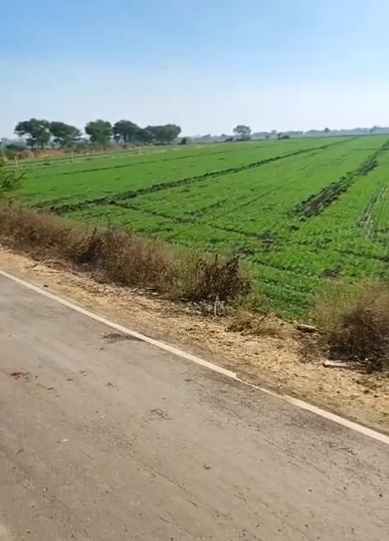 Karpa, Anuppur, Madhya Pradesh 484881, India