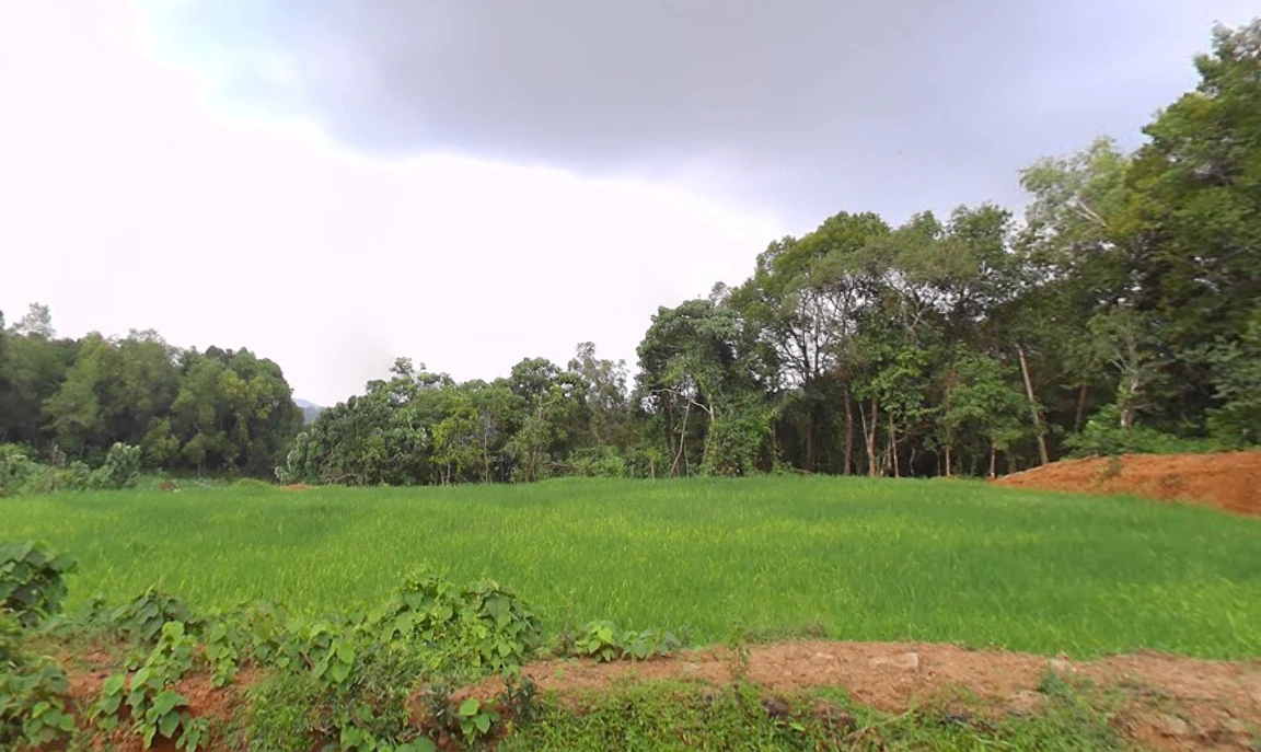 Mulbagal, Karnataka 563131, India