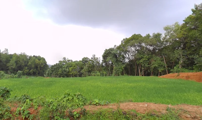 Mulbagal, Karnataka 563131, India preview 2