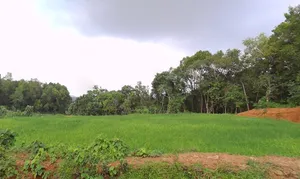 Mulbagal, Karnataka 563131, India preview 2