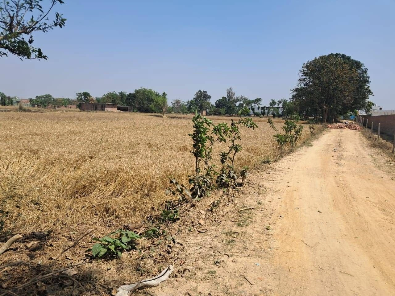 P6X3+RJQ, Darshan Nagar - Bharat Kund Marg, Mirzapur Mafi, Uttar Pradesh 224135, India preview 2