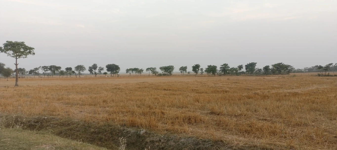 Biharinath Hill, West Bengal 722153, India