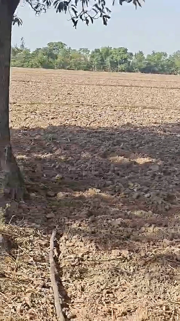 5QRW+428, Rewari, Dharuhera, Haryana 123106, India