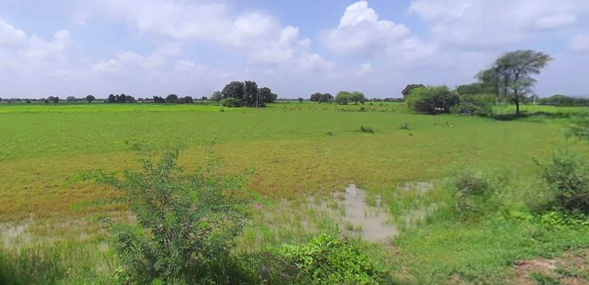 Bijnor, Uttar Pradesh 246701, India