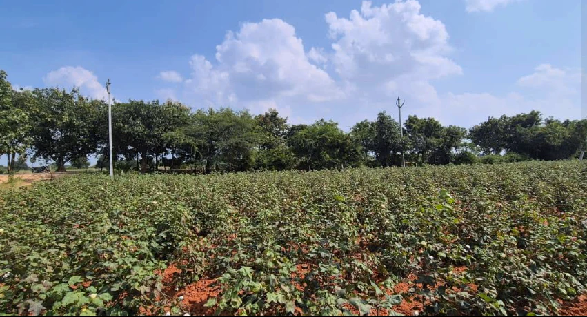 PW43+38 Devarakonda, Nalgonda, Telangana, India