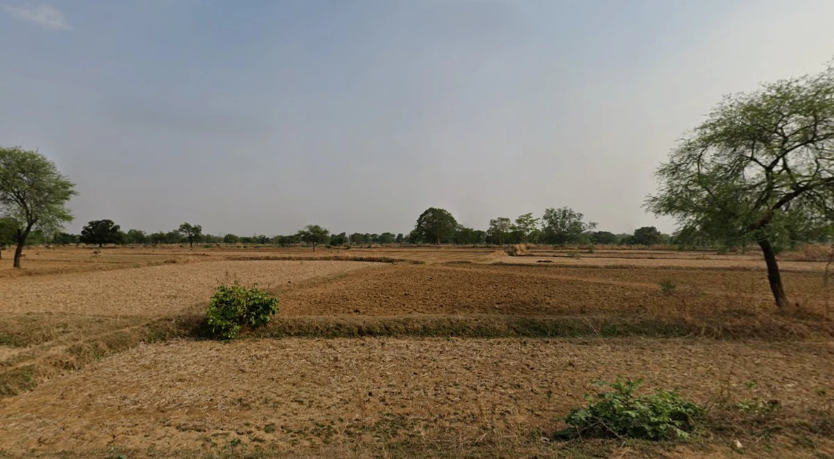 Kosa, Chhattisgarh, India