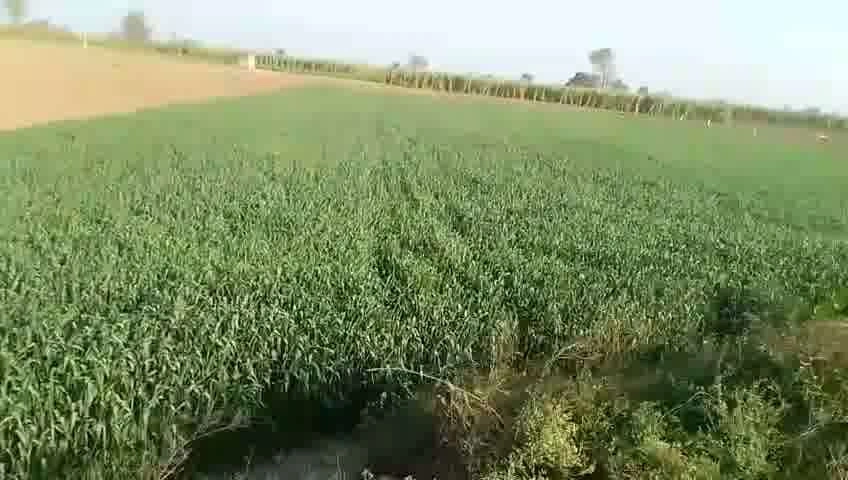 4773+7Q5, Baraut, Uttar Pradesh 250611, India preview 2