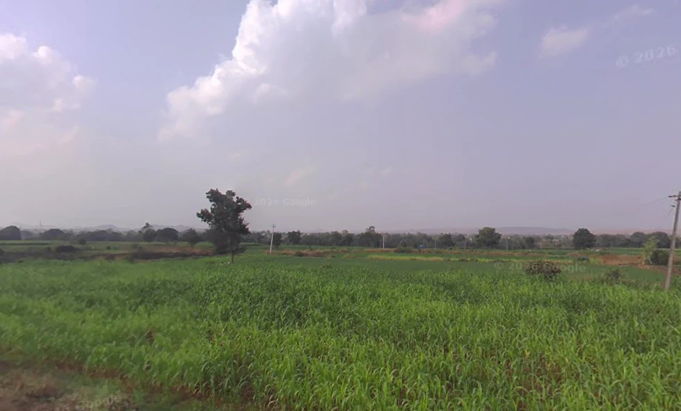 JX7F+RQM, Bhawadi, Maharashtra, India