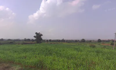 JX7F+RQM, Bhawadi, Maharashtra, India preview 2