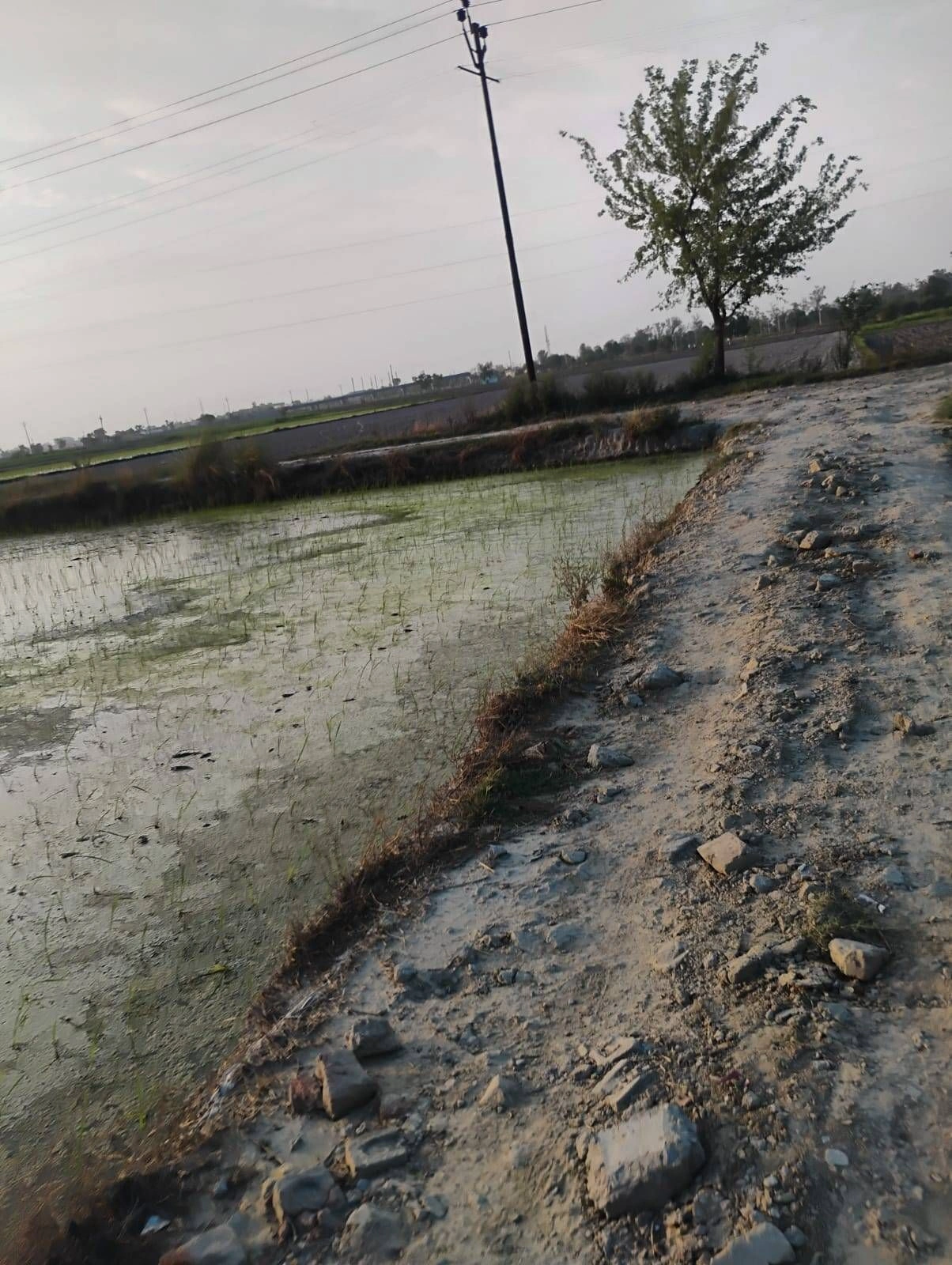 Bishambhara, Uttar Pradesh 281404, India