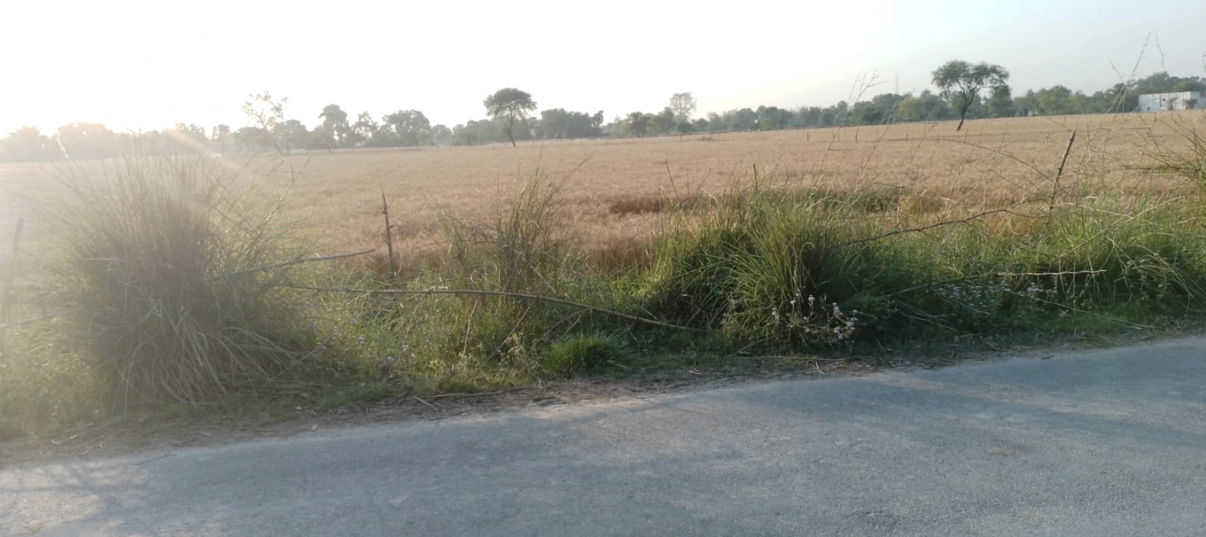 Barnagar, Madhya Pradesh 456771, India