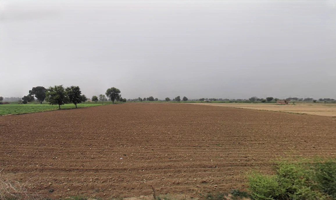 Barsi, Haryana 127032, India