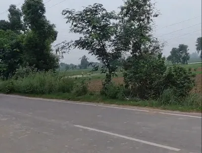 393M+Q8 Barnagar, Ujjain, Madhya Pradesh, India preview 3
