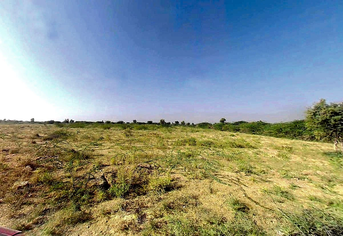 Rohat, Rajasthan 306421, India