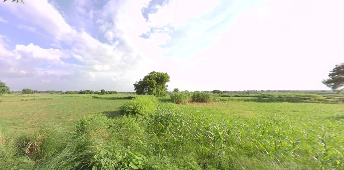 Deora Khedi, Madhya Pradesh 453115, India