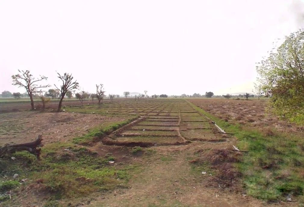 MPM5+2G Jajor, Rajasthan, India