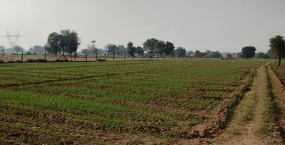 Rajpura, Punjab, India preview 3