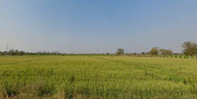 Dahegaon, Maharashtra 441108, India preview 3