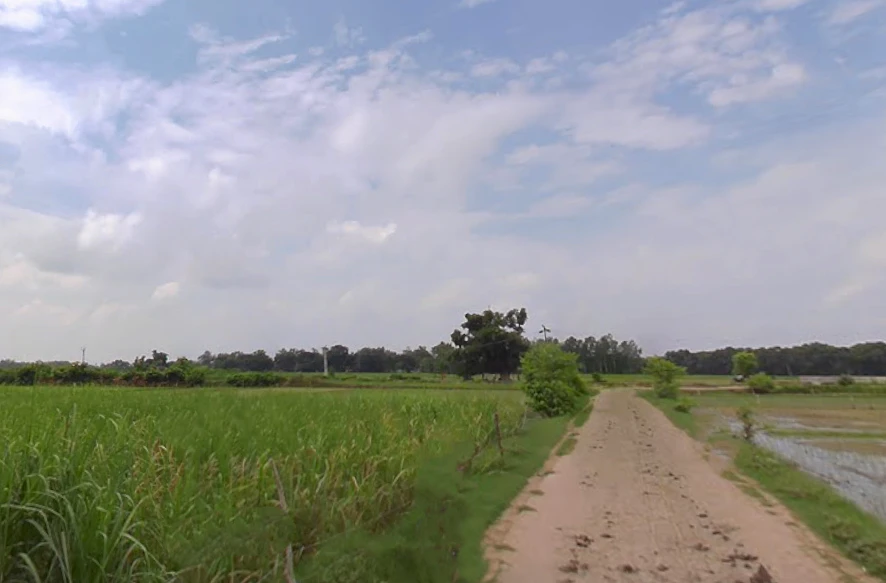 Nawabganj, Uttar Pradesh 262406, India