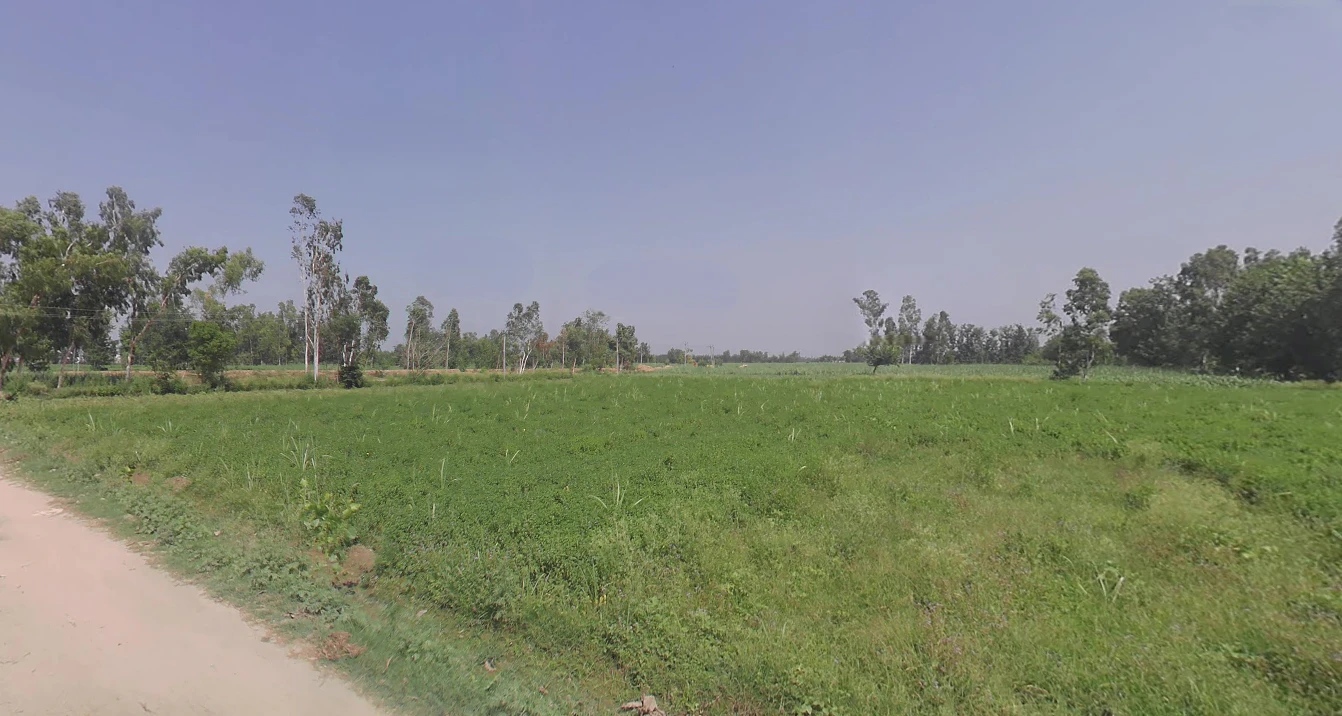 Hasanpur, Uttar Pradesh 244241, India