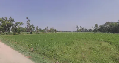 Hasanpur, Uttar Pradesh 244241, India preview 2