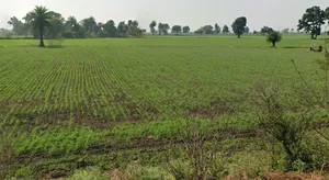 Raisen, Madhya Pradesh, India preview 2