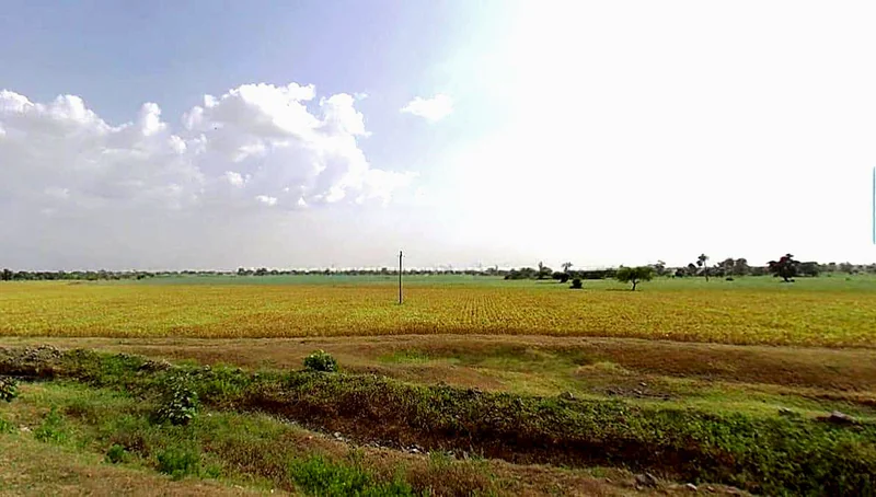 GHP6+R8G, Delchibuzurg, Madhya Pradesh, India preview 3