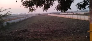 Govardhan, Uttar Pradesh, India preview 2