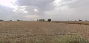 Kanarda, Madhya Pradesh 461331, India preview 3