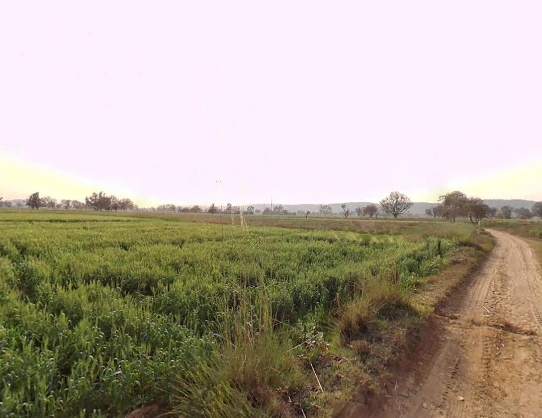 CQRQ+89Q, Pali, Rajasthan 301001, India