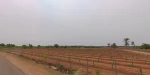 Palli, Karnataka 574244, India preview 2