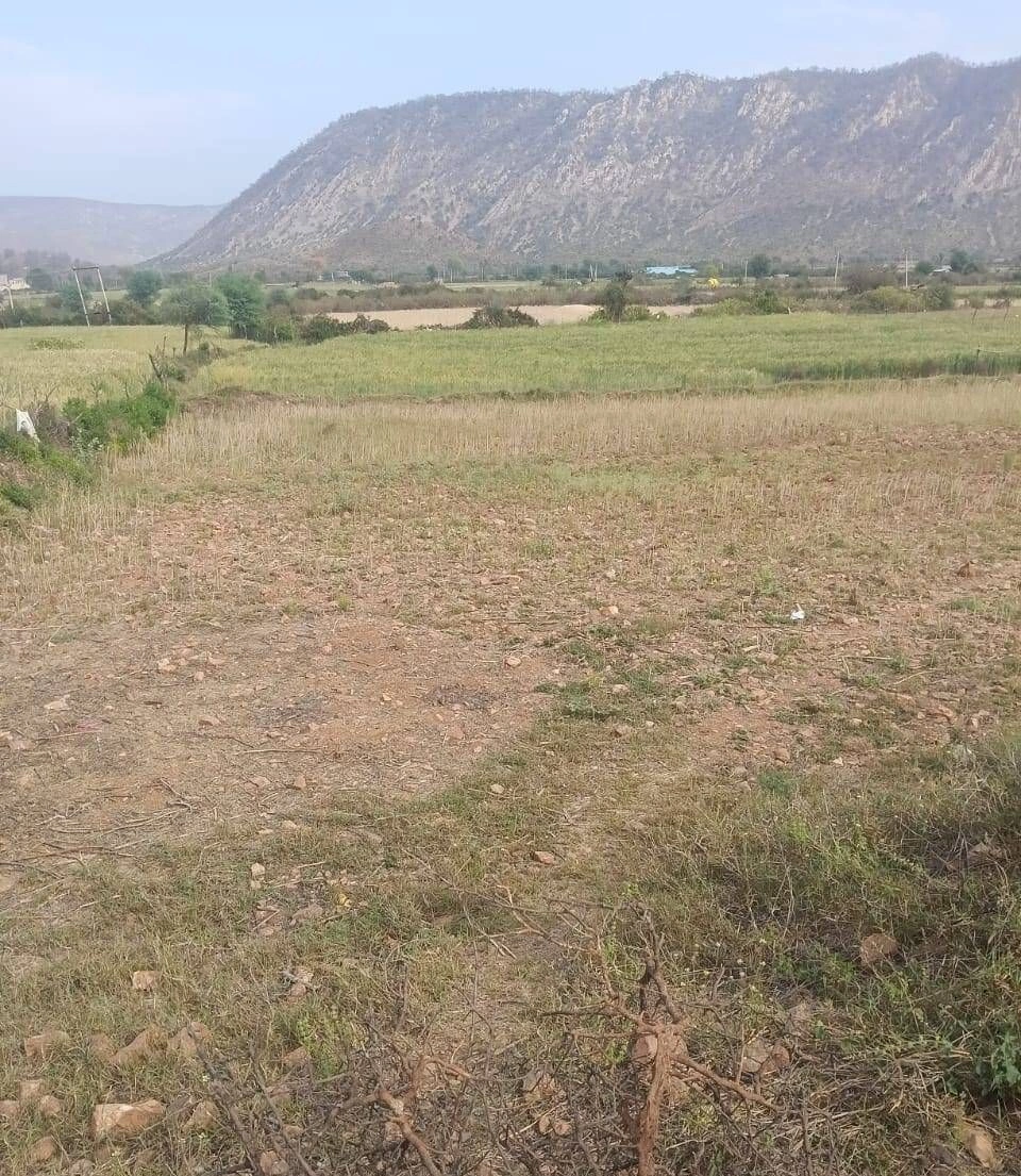 GFPR+GCQ, Dhahlavas, Rajasthan 301001, India