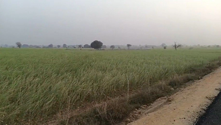 Sukha Patha, Madhya Pradesh, India