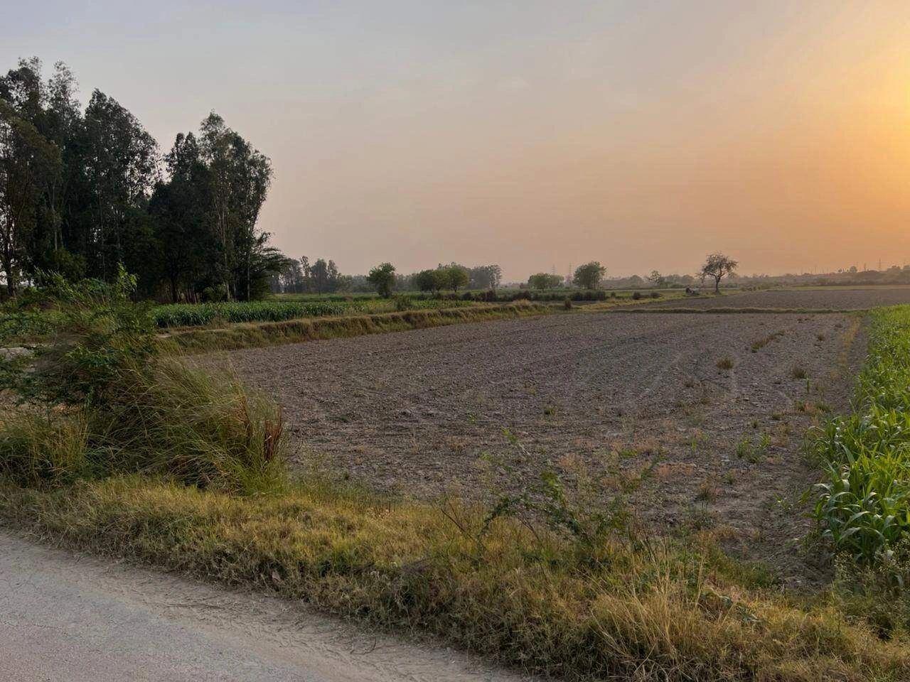 Saidpur, Nizampur Khurd, Haryana 131402, India preview 2