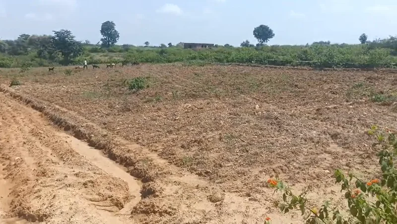 HX7M+GH Satawal, Rajasthan, India preview 2