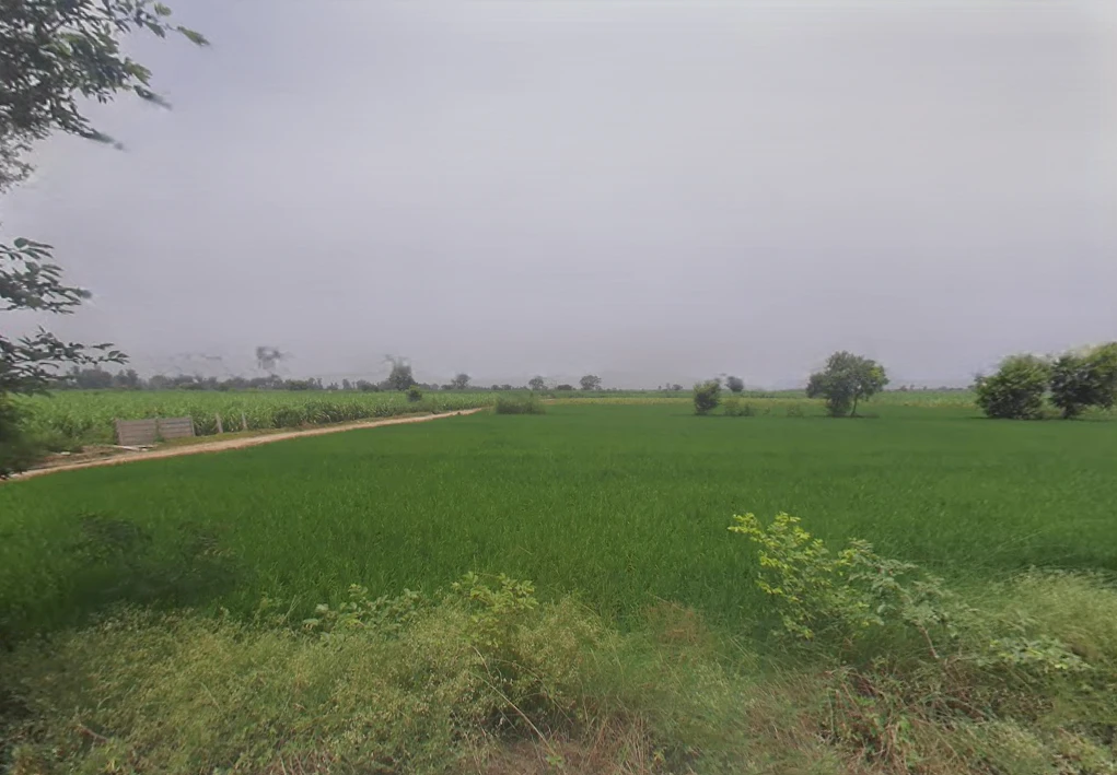 Khokiyaka, Haryana 121103, India