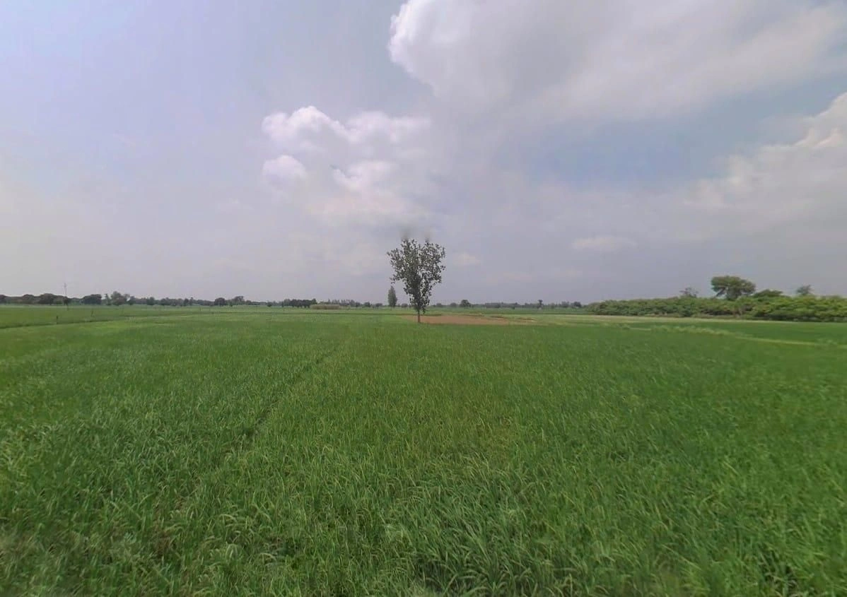 457W+GVM, Pandrawal, Uttar Pradesh 203397, India preview 3