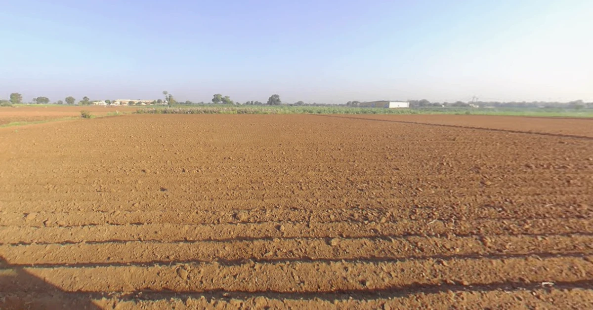 Mota Timbla, Gujarat, India