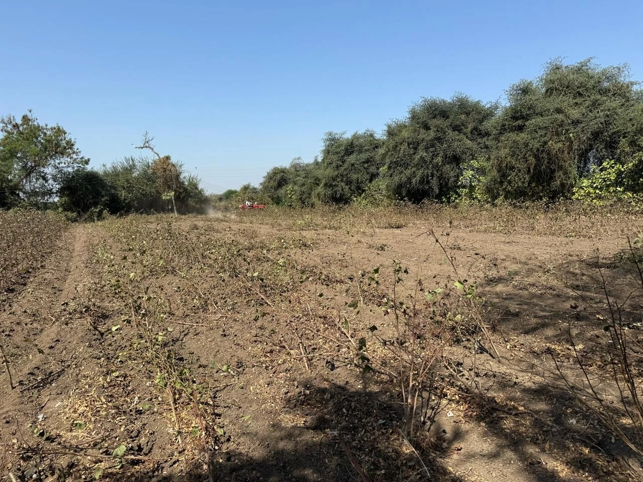 Dahegaon, Maharashtra 441501, India