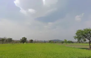 6QJW+J3C, Durgukondal, Chhattisgarh 494669, India preview 3