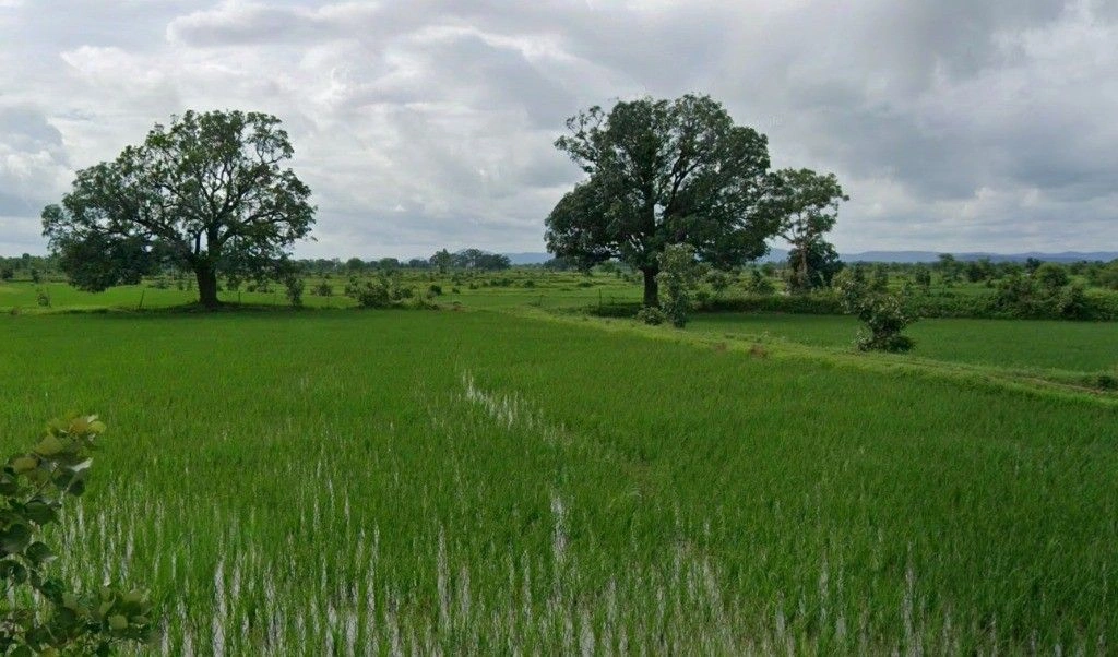 Jarauda, Chhattisgarh, India
