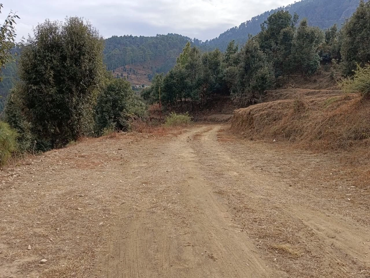 Jalna, Uttarakhand 263625, India