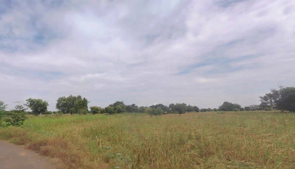 Pinan, Rajasthan, India