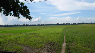 Chaudhariwas, Haryana 125007, India preview 2