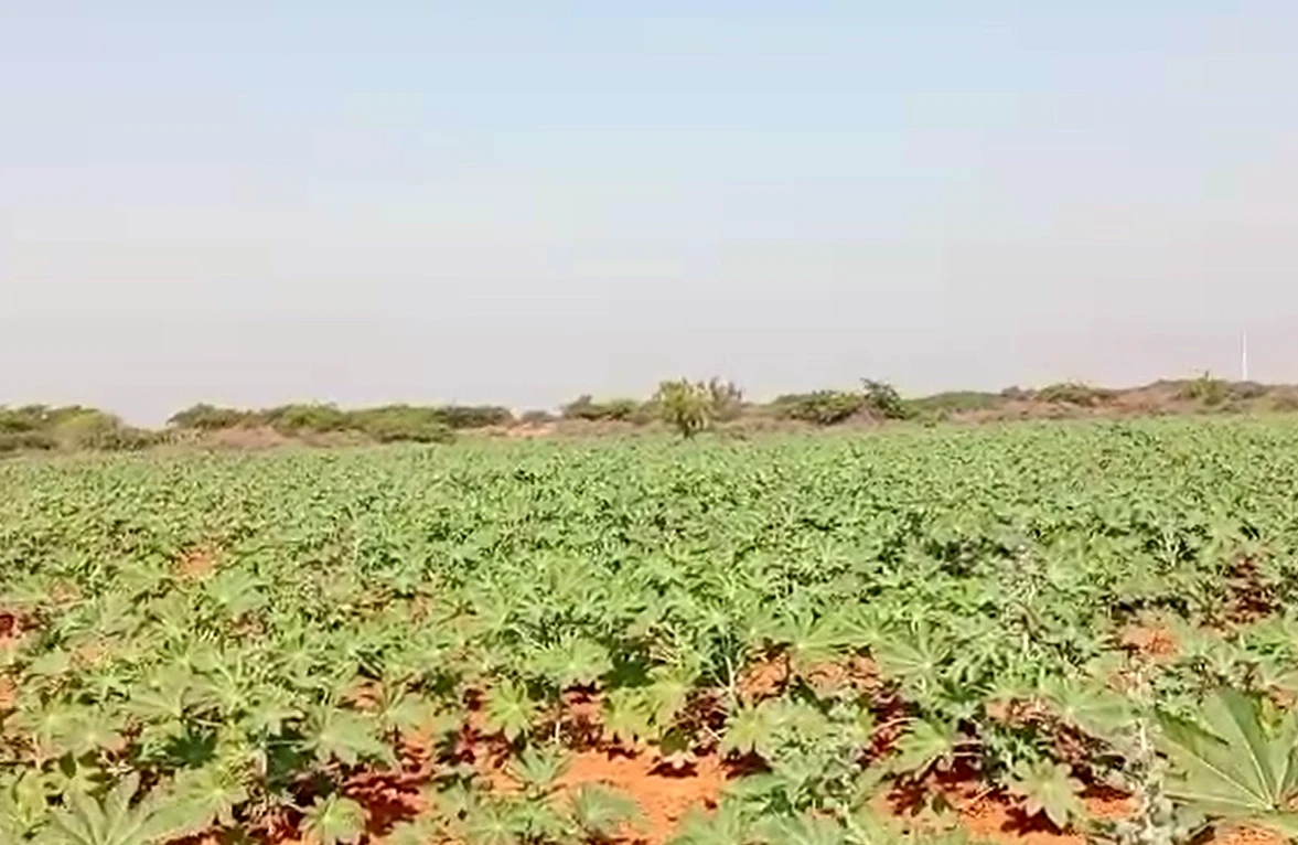 Koriyani, Kachchh, Gujarat 370601, India