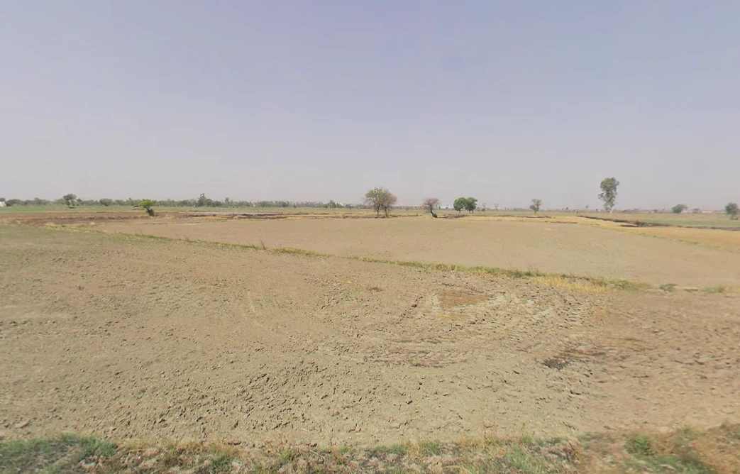 Pirthla, Haryana, India