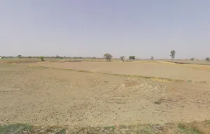 Pirthla, Haryana, India preview 2